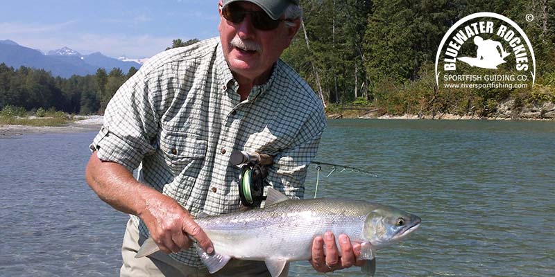 BC Sockeye Salmon Fishing Charters